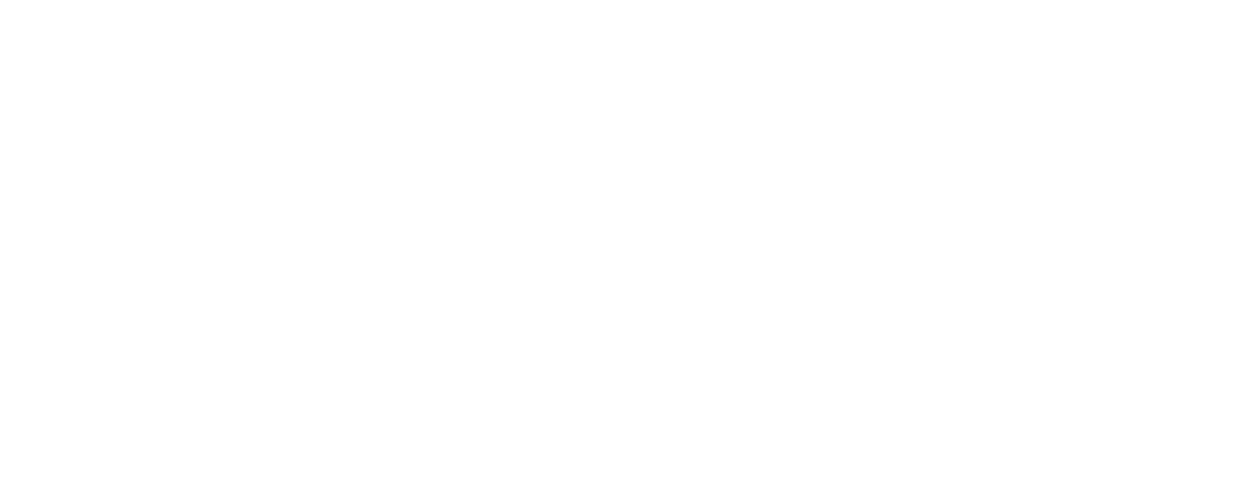 Netball Victoria