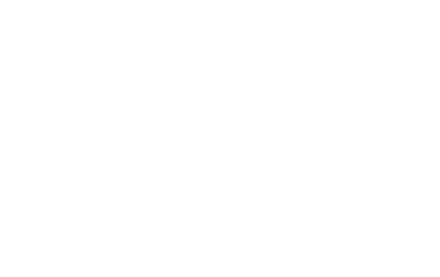 Young Heroes